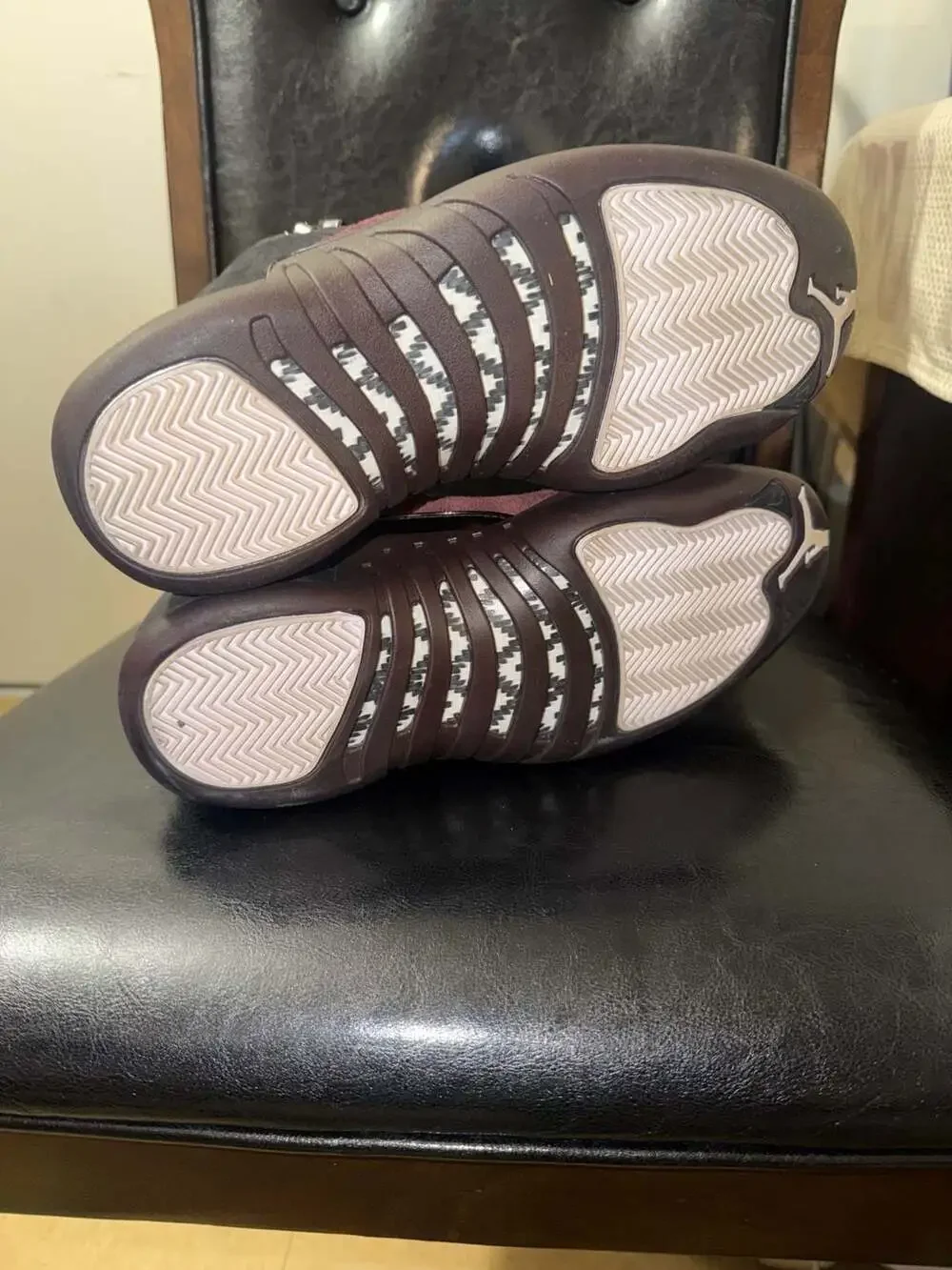 Jordan 12 retro
